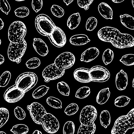 Peanuts seamless pattern. Peanut nuts hand drawn sketch. Nuts vector illustration. Organic healthy food. Great for packaging design. engraved style. Black and white color.のイラスト素材