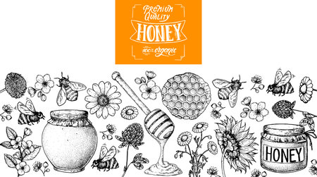 Honey hand drawn vector illustration. Healthy food illustration. Lettering Premium Quality Honey 100 Organic. Honeycomb, flowers, jar of honey sketchのイラスト素材