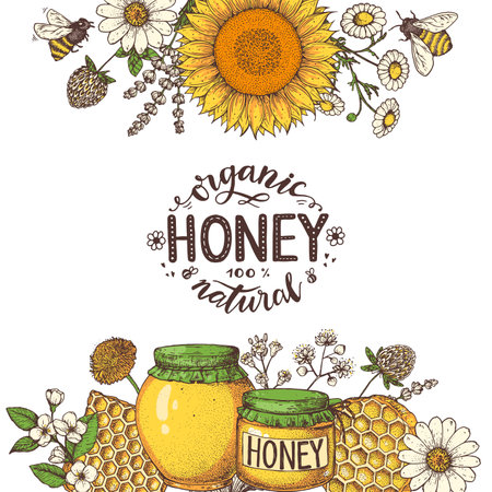 Honey hand drawn vector illustration. Healthy food illustration. Lettering Organic Honey 100% natural. Honeycomb, flowers, jar of honeyのイラスト素材