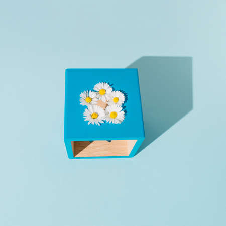 White flowers arranged in a blue cube. Geometric shape on a blue background. Creative frame. Minimal conceptの写真素材