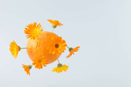 Orange with orange color flowers on a blue background. Covid virus inspiration. Surrealの写真素材