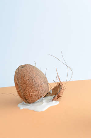 Coconut from which milk comes out on a combination of brown and blue background. Summer fruit conceptの写真素材