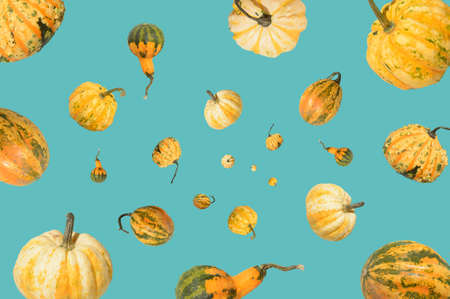 Halloween background. Flying pumpkins on a blue background. Autumn decorative concept.の写真素材