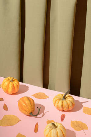 Autumn concept of leaves and pumpkins. Background made of green curtains and a pink table. Autumn days in retro styleの写真素材