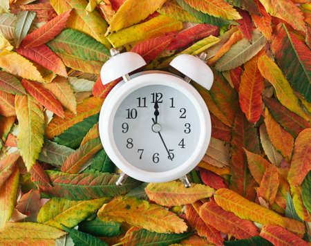An old retro clock on an autumn fallen leaf. Autumn fall vintage idea.の写真素材