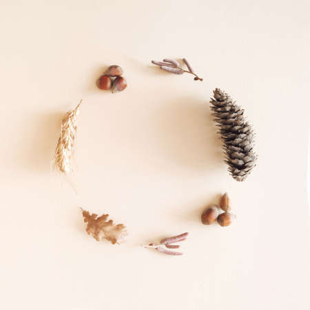 Autumn decoration arranged in a circle. Pine cone, hazelnut, leaf, grain on a cream background. Pastel pleasant fall concept with copy space.の写真素材