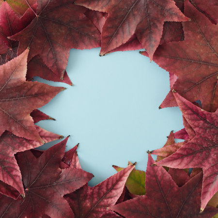 Autumn leaves on a blue background. In the middle copy space. Fall concept for various purposes.の写真素材