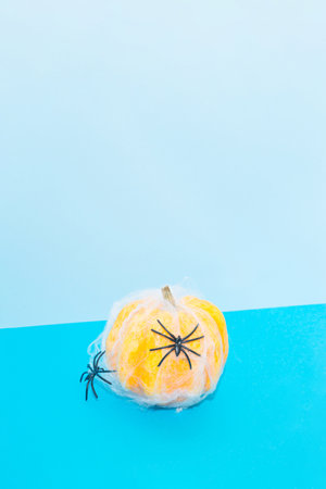 A pumpkin covered with a spider web and spiders on a blue background. Halloween scary concept with copy spaceの写真素材