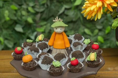 Tray with assorted candies of different flavors. Personalized and decorated sweets for the farm or...
