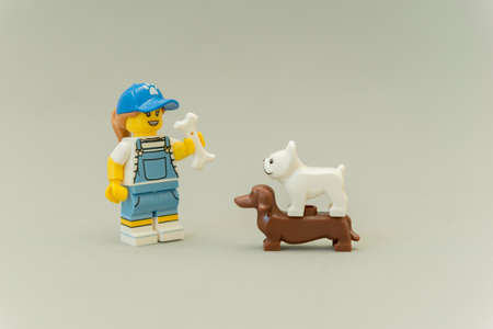 Florianopolis - Brazil, May 5, 2019: Minifigures Lego of two dogs (pug and dachshund) looking for a little girl holding a bone. One dog above another one. Studio shot - Selective focus.のeditorial素材