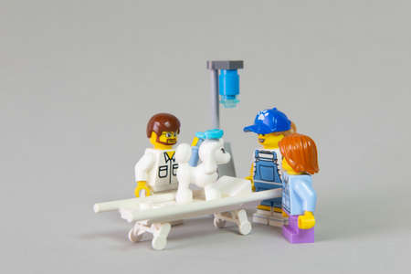 Minifigure of Veterinarian examining sick white French Poodle on a bed at the clinic with his owners...