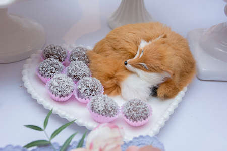 Details of luxurious table of sweets and birthday cake decorated with flower arrangements and delicate wild animals with light wood panel in the background. Beautiful girl children's party decorationの写真素材