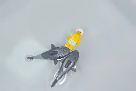 Bauru, Brazil. 7, June, 2022: Top view of Lego minifigure of man swimming on his back and scared by...