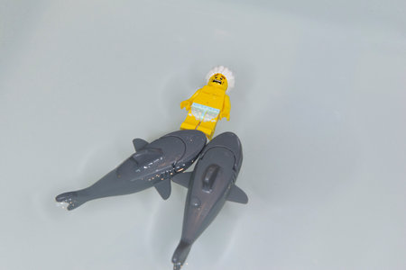 Bauru, Brazil. 7, June, 2022: Top view of Lego minifigure of man swimming on his back and scared by...