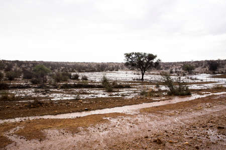 Wet Land