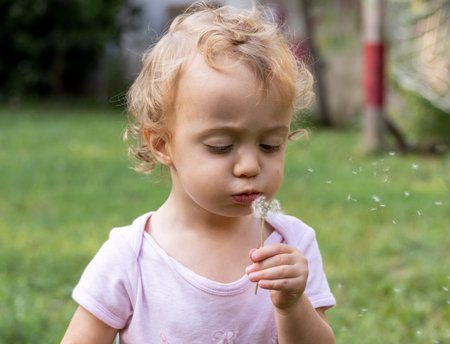 Baby girl blowing at dandelion in backyardの写真素材