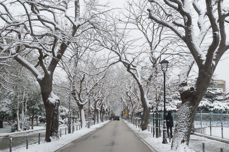 Snow in Blato (Korcula Island)の写真素材
