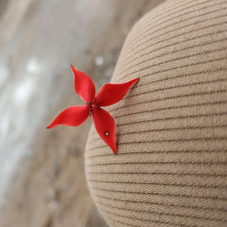 cute red flowers of tropical Okinawa