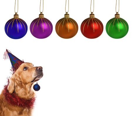 Christmas decoration on white backgroundの写真素材