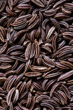 Some caraway seeds for backgroundの写真素材