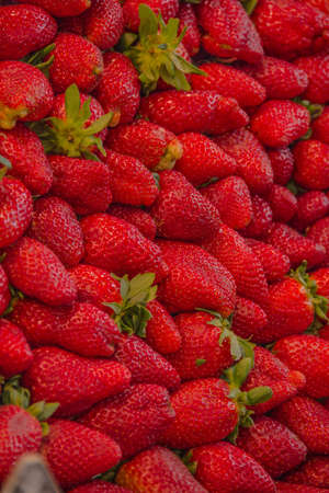Fruits and vegetables stall in La Boqueria, BARCELONA (SPAIN)の写真素材
