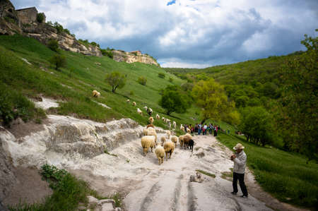 shepherd plays the flute in the mountains surrounded by sheep and touristsの写真素材