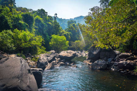 Mountain river flowing in the mountains in the woods. Nature composition.の写真素材