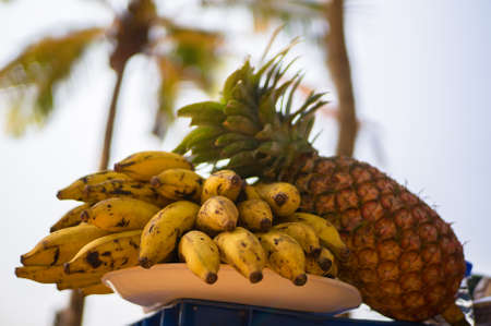 Exotic fruits on a background of palm trees and the shore. A picnic in a tropical country on the beach.の写真素材