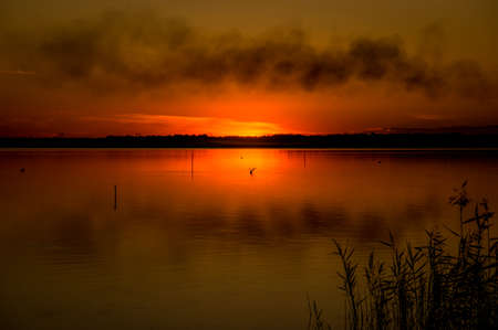 fantastic landscape, multicolor sky over the lake. majestic sunrise. use as background. color in nature. beautiful in nature. series with many color variations. creative images.の写真素材