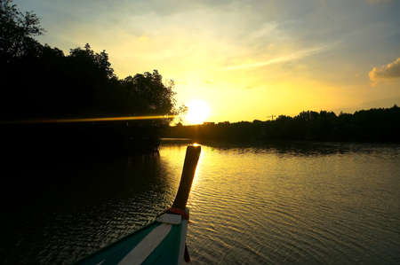 Sun setting behind silhouetted trees from boatの写真素材