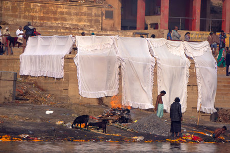 typical day on the banks of the river Gangesのeditorial素材