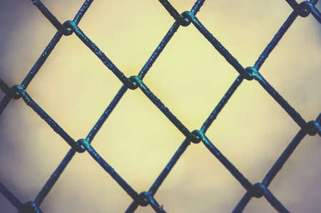 A metal grid on the blurred background. Cage at the zoo.の写真素材