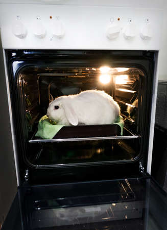 Go vegan. Promotion of vegetarianism, not to kill animals for meat. Live rabbit in the stove. Killing animalsの写真素材