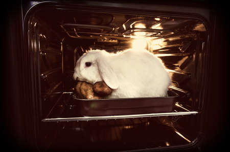 Go vegan. Promotion of vegetarianism, not to kill animals for meat. Live rabbit in the stove. Killing animalsの写真素材