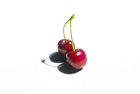 Cherry on a white backgroundの写真素材