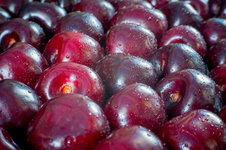 Burgundy cherry closeup dark background. sour cherries, close-up view