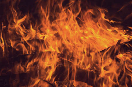 Burning wood in a bright fire by night. Flames in the night background.の写真素材