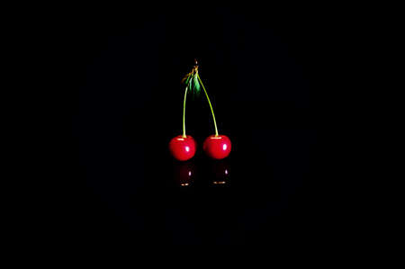 Red cherries on black isolated background at night. two cherries on a green branch