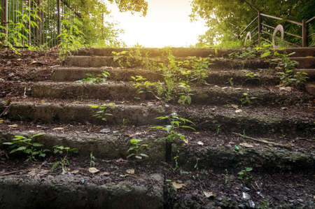 Old abandoned stone staircase in park. summer. in bright sunlightの写真素材