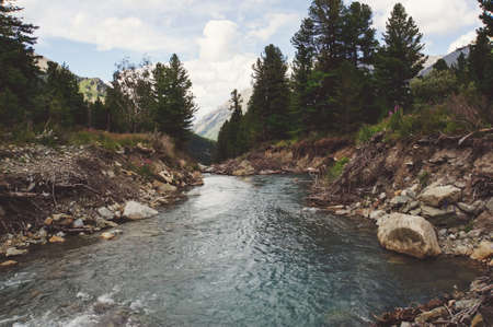 River flows between hills in Altai mountains. Altay Republic, Siberia, Russia.の写真素材