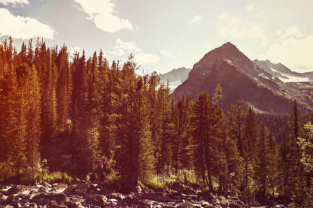 Landscape with forest mountains. Altai, Kazakhstan. The beautiful landscape of the Russian taiga in the mountains of Siberiaの写真素材