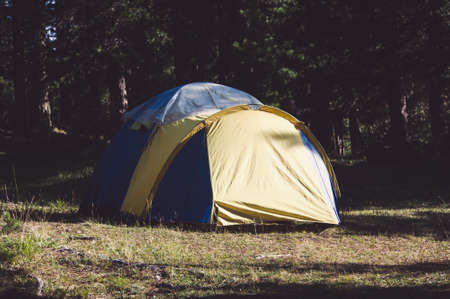 Adventures Camping and tent under the pine forest near water outdoor in morning and sunset pine forest park,の写真素材