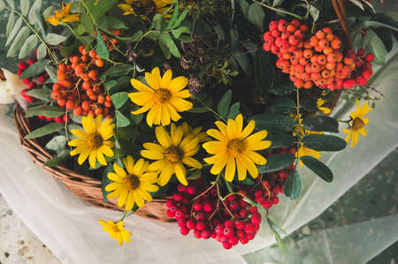 Autumn bouquet with garden flowers and branches of mountain ash in yellow basket and white fabric....