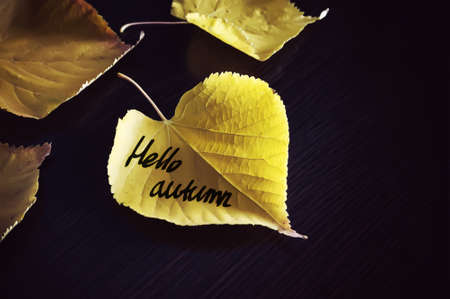 The inscription Hello autumn yellow leaf closeup. Autumn background: leaves on table. Fallen autumn leaf in shape of heartの写真素材
