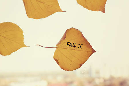 many yellow fallen leaves labeled fall stuck to the window on the skyline. Fallen autumn leaf in shape of heartの写真素材