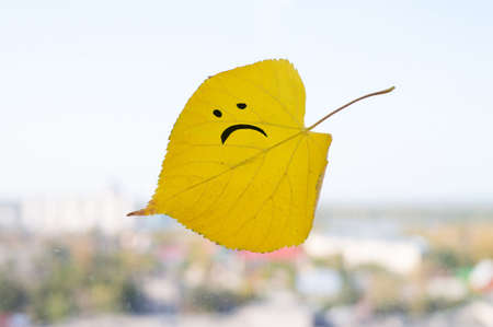Yellow leaf with a picture of a sad face on the glass window in the blurred background cityの写真素材