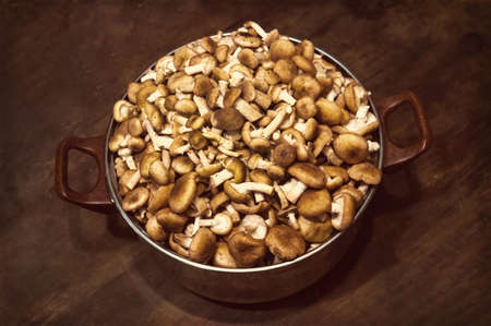 Fresh forest Honey Mushrooms In The Pan On The Black Wooden Table Close-Up Top View.の写真素材