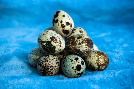 Quail eggs lying in a pile on a blue blurred background close upの写真素材