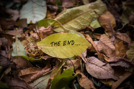 Yellow leaf with inscription THE END on background in a heap of yellow leaves. Autumn concept. The end of summer, beginning of autumn.の写真素材