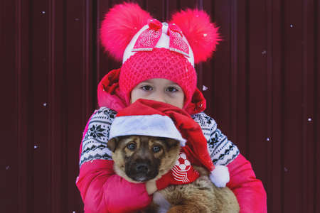 Little girl and dog at Christmas. Cap of santaclaus on the dog. A symbol of Christmas and the new 2018. A puppy with a sad face. Girl hugs your pet in the open air under the snow.の写真素材